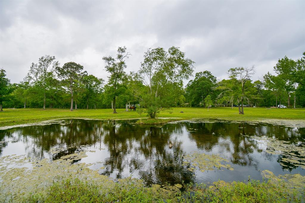 TBD Lake  , Splendora, Texas image 27