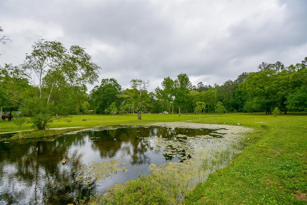 TBD Lake  , Splendora, Texas image 28