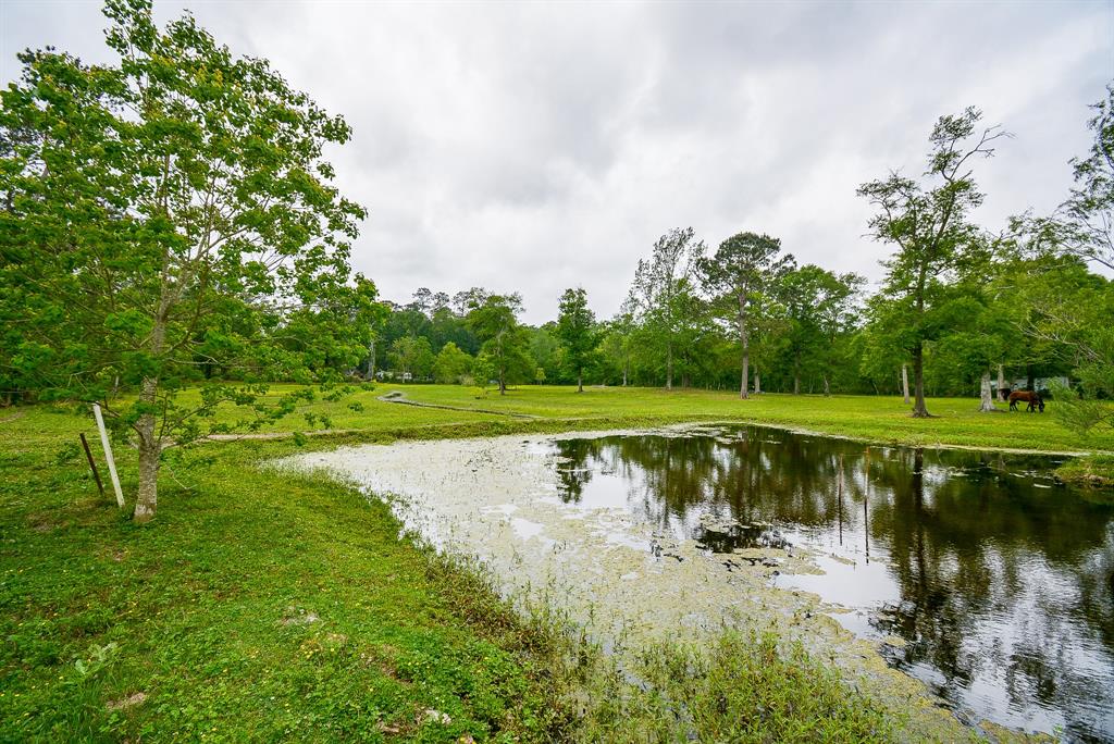 TBD Lake  , Splendora, Texas image 29