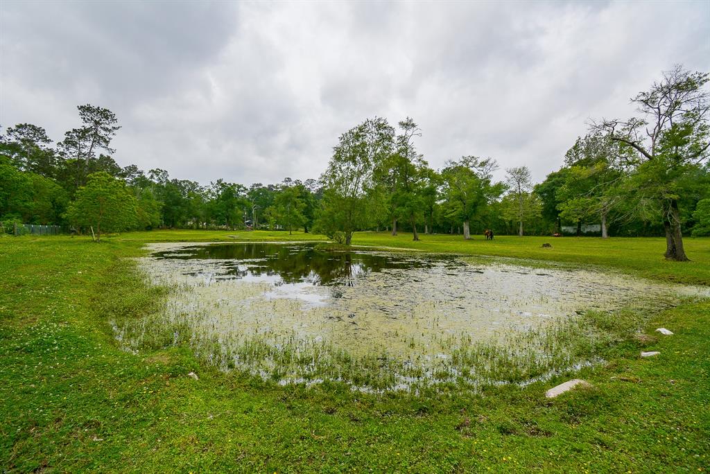 TBD Lake  , Splendora, Texas image 30