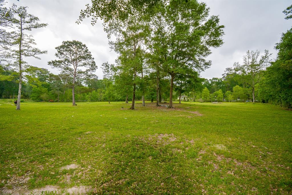 TBD Lake  , Splendora, Texas image 9