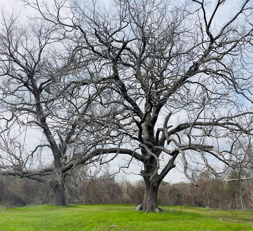 1087 County Road 705  , West Columbia, Texas image 25