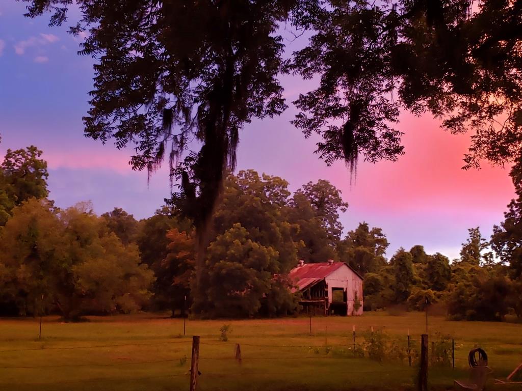 1087 County Road 705  , West Columbia, Texas image 7