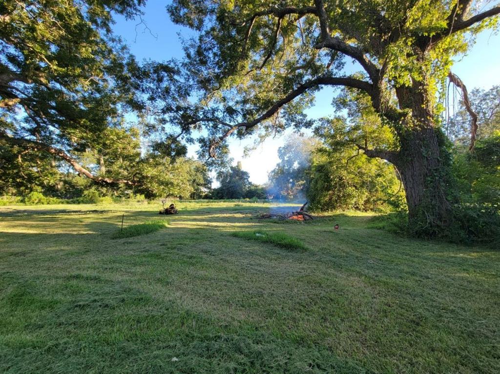 1087 County Road 705  , West Columbia, Texas image 8