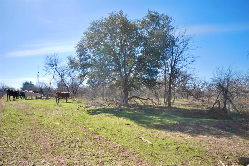 Tract 2 CR 482, Gonzales, TX 