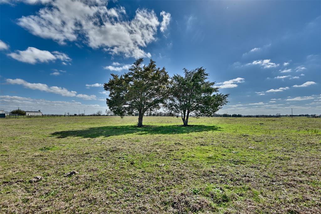 Tract 3 San Felipe Road , New Ulm, Texas image 4