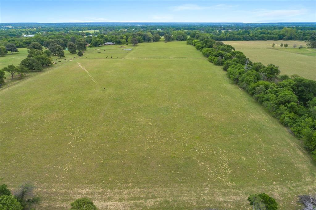 TBD Vz County Road 4412  , Ben Wheeler, Texas image 13