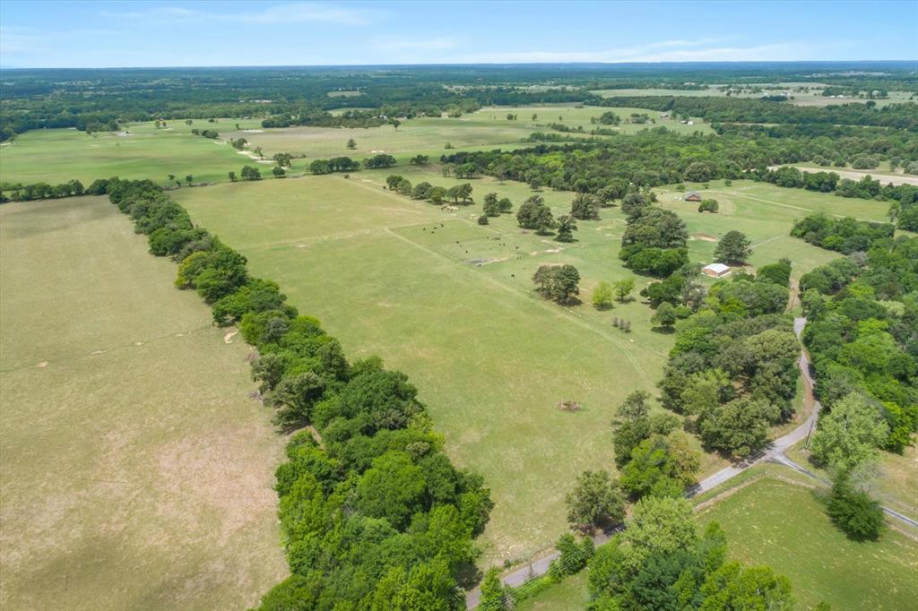 TBD Vz County Road 4412  , Ben Wheeler, Texas image 5