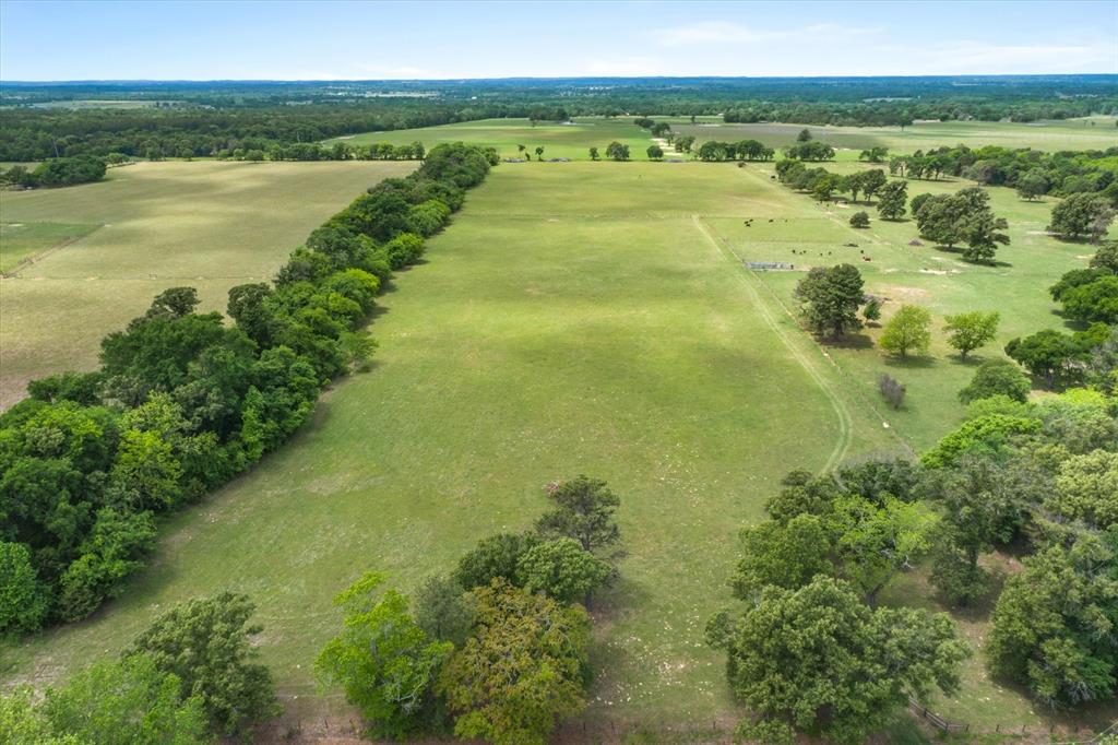 TBD Vz County Road 4412  , Ben Wheeler, Texas image 7