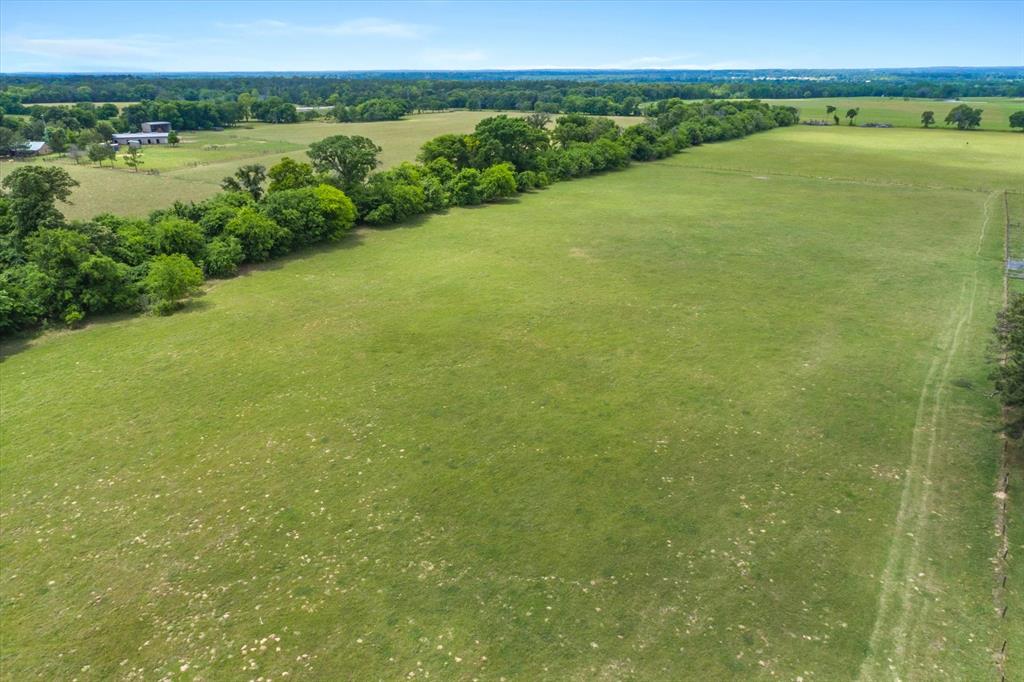 TBD Vz County Road 4412  , Ben Wheeler, Texas image 8