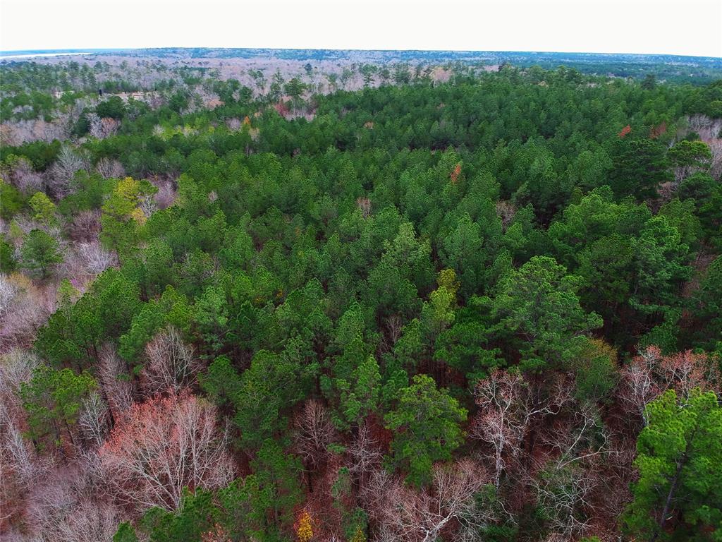 TBD US Highway 190 E