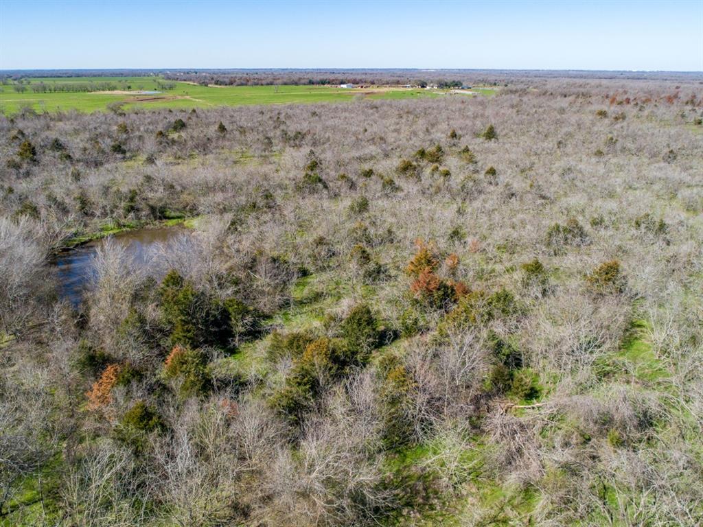 TBD Hwy 14  , Groesbeck, Texas image 11