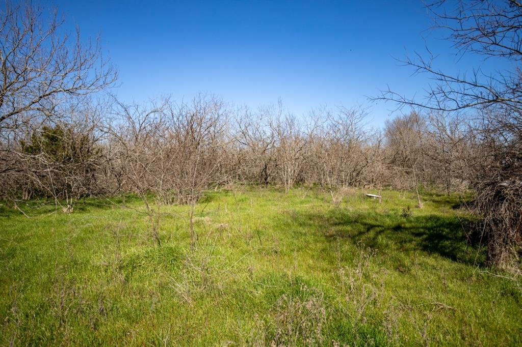 TBD Hwy 14  , Groesbeck, Texas image 13