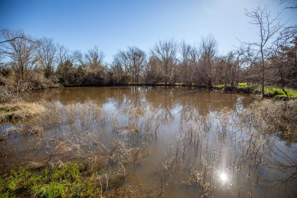 TBD Hwy 14  , Groesbeck, Texas image 15