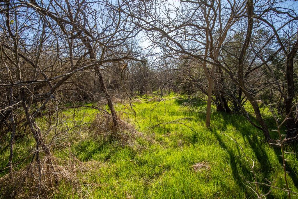 TBD Hwy 14  , Groesbeck, Texas image 16