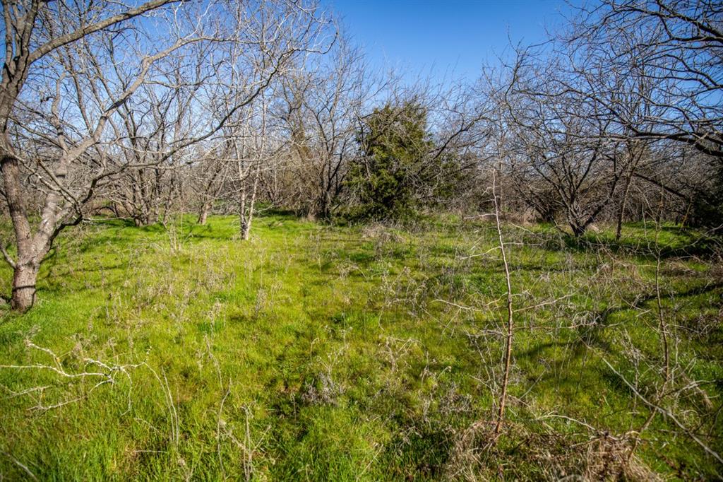 TBD Hwy 14  , Groesbeck, Texas image 17