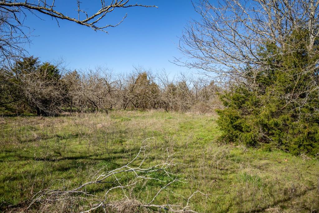 TBD Hwy 14  , Groesbeck, Texas image 19