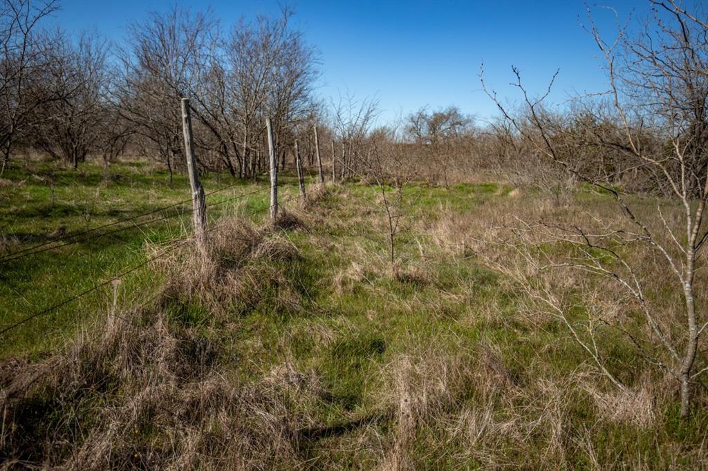 TBD Hwy 14  , Groesbeck, Texas image 21