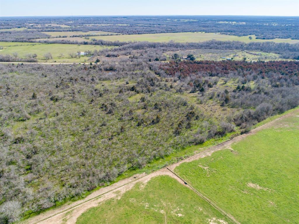 TBD Hwy 14  , Groesbeck, Texas image 5