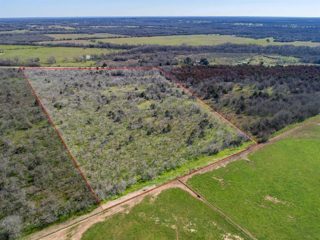 TBD Hwy 14  , Groesbeck, Texas image 6