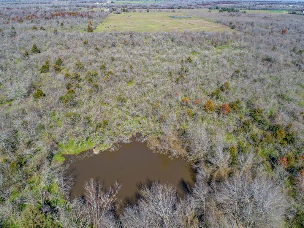 TBD Hwy 14  , Groesbeck, Texas image 8