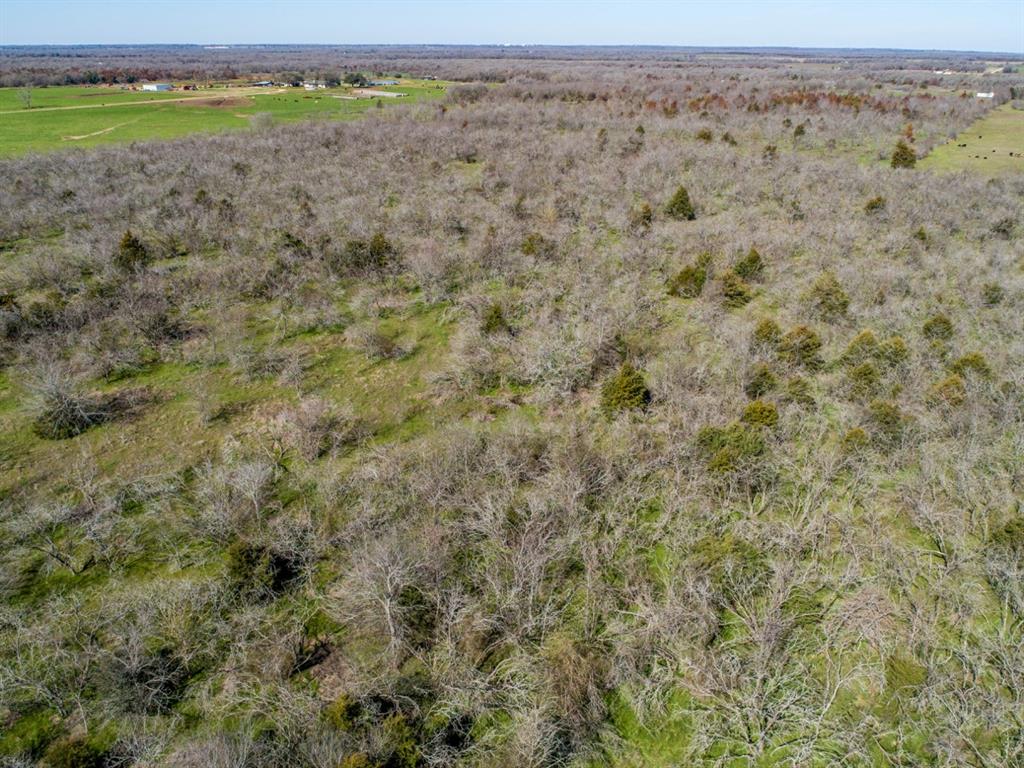 TBD Hwy 14  , Groesbeck, Texas image 9