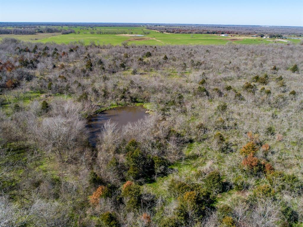 TBD Hwy 14  , Groesbeck, Texas image 10