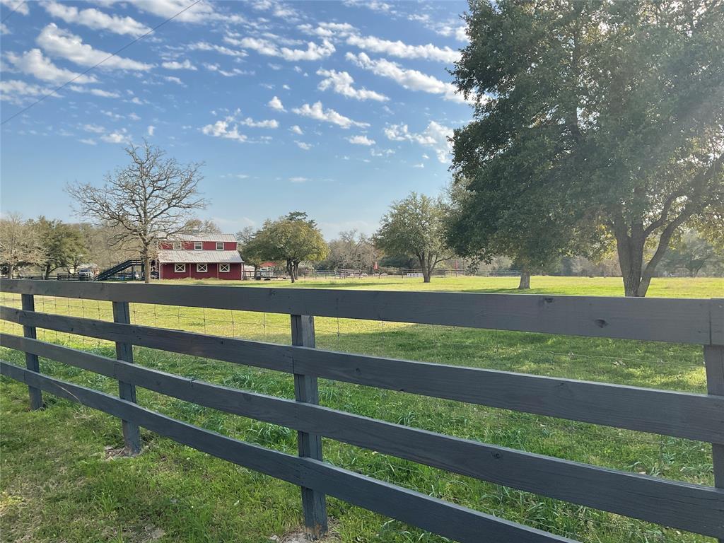 Beautiful pasture with auto waterer and stately trees for shade