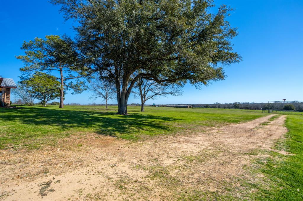 517 Jahn Lane , Schulenburg, Texas image 30