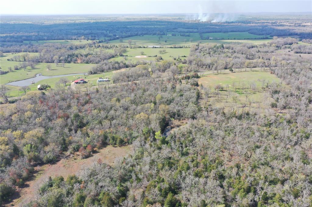 TBD Fm 489  , Oakwood, Texas image 9