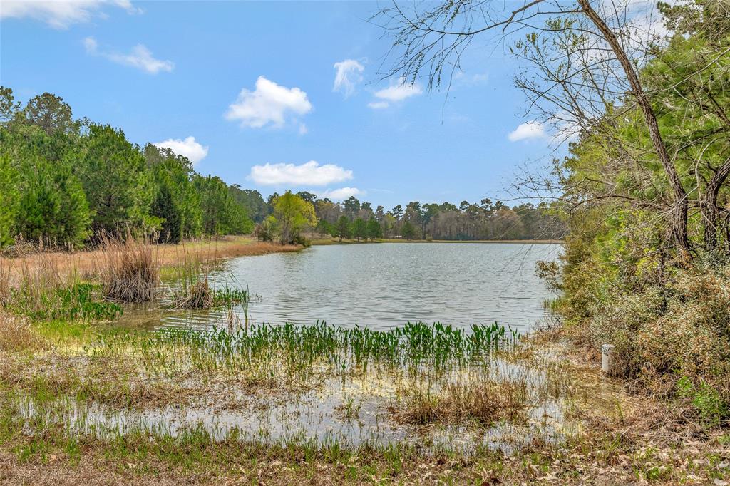 26500 Saddle Horn Drive , Waller, Texas image 12