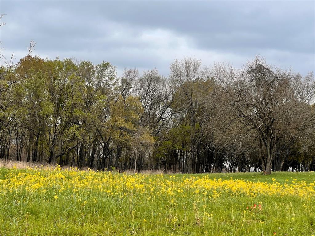 159 Lcr 890  , Jewett, Texas image 6