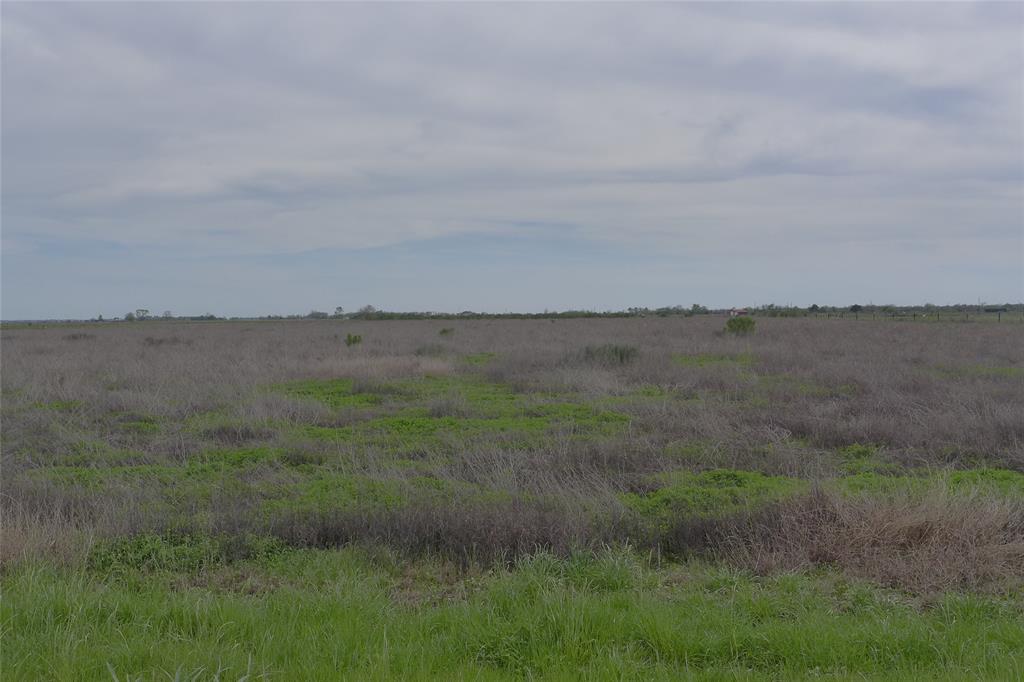 PERFECT LOCATION TO BUILD YOUR NEW RANCH HOUSE. THIS IS AN UNRESTRICTED TRACT OF LAND IN FORT BEND COUNTY WITH GREAT ACCESS TO HWY 59 AND HWY 36. PROPERTY IS CURRENTLY AG EXEMPT.  YOU CAN BRING THE HORSES OR CATTLE & ENJOY THE COUNTRY LIFE. SELLER HAS NEW SURVEY. RECORDS SHOW THIS IS NOT IN A FLOOD PLAIN, THERE IS A PIPE LINE BUT PLENTY OF SPACE TO BUILD ON. CALL ME FOR MORE DETAILS.