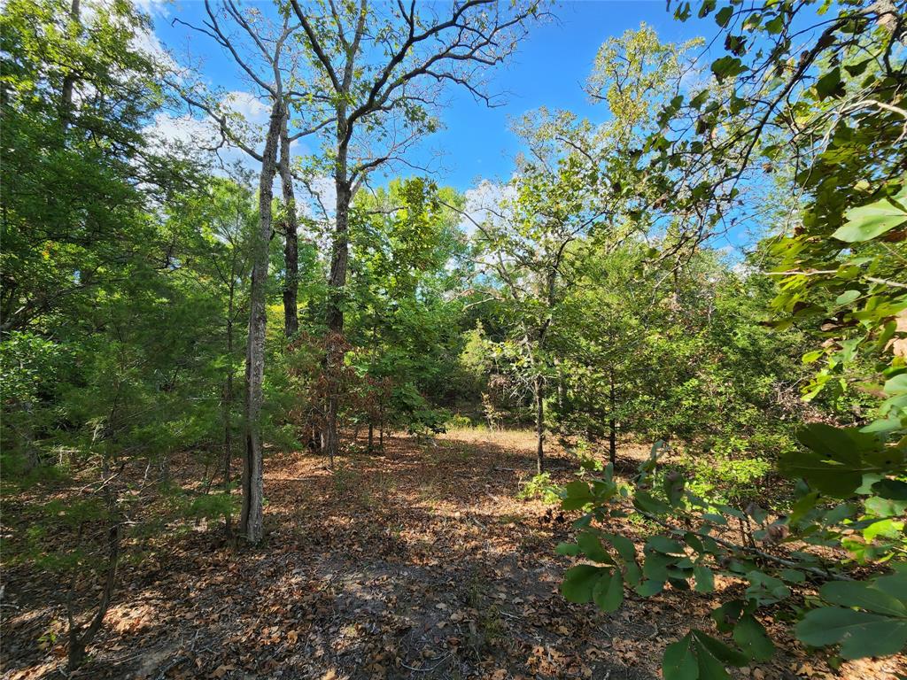 County Road 4710 Lot 465  , Larue, Texas image 12