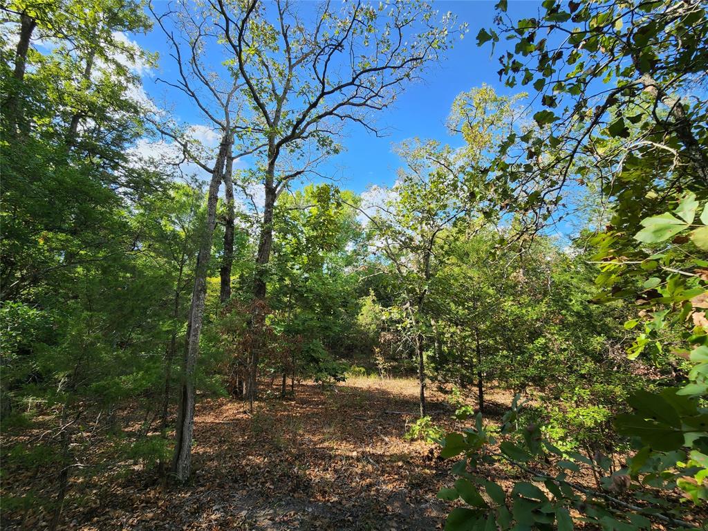 County Road 4710 Lot 465  , Larue, Texas image 23