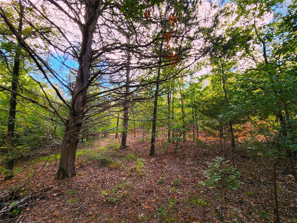 Gorgeous, wooded lot awaits a new owner!