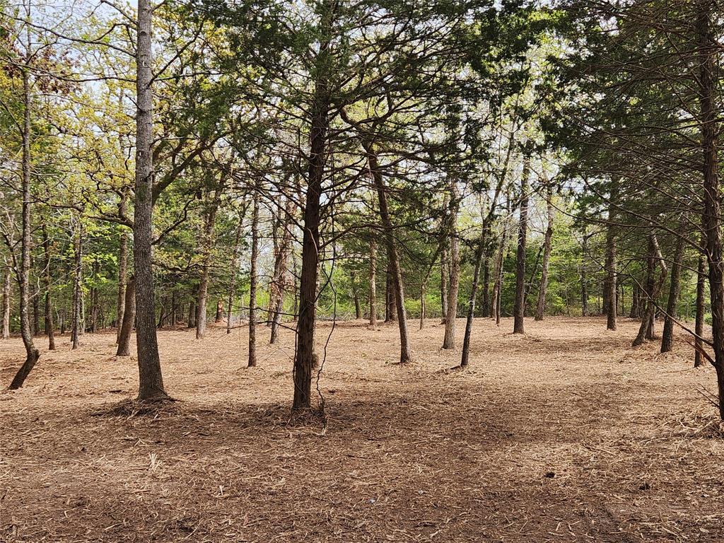 The seller recently invested in forestry mulching of the front acre. The front of this lot looks like a park setting. Just gorgeous!