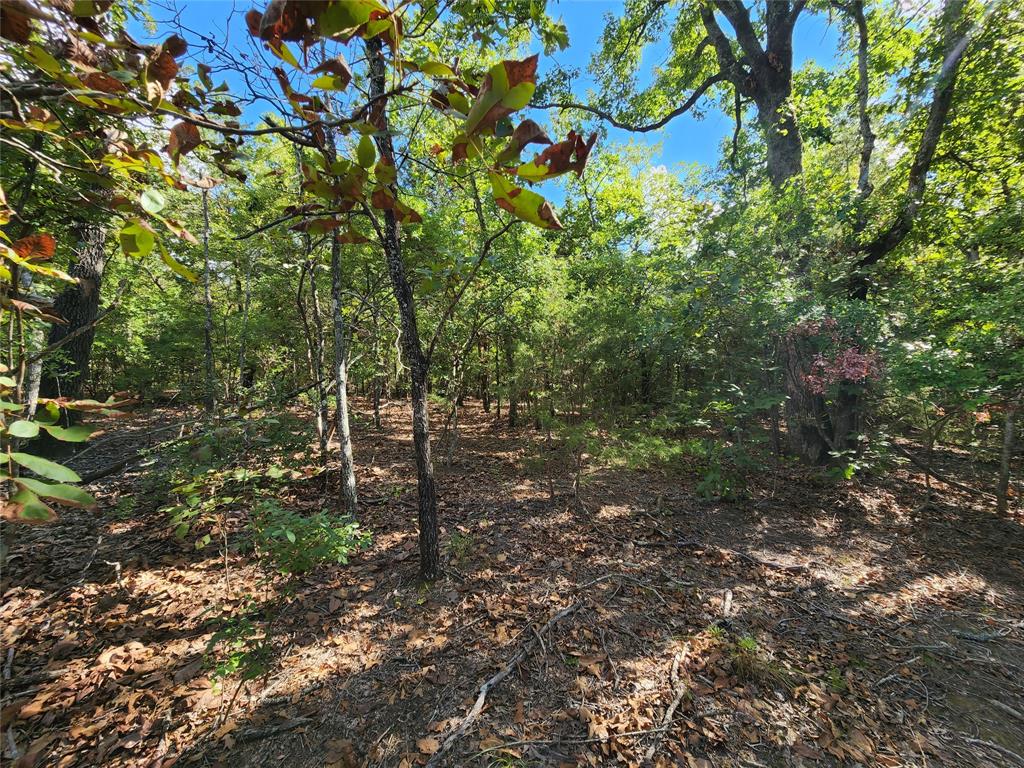 County Road 4710 Lot 465  , Larue, Texas image 37