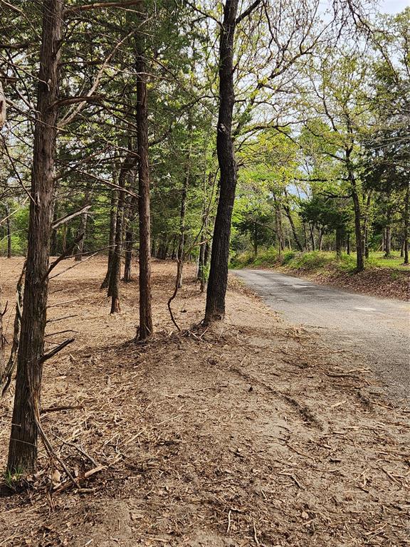 County Road 4710 Lot 465  , Larue, Texas image 46