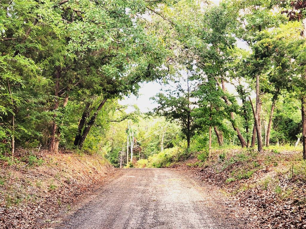 Imagine this being your street in front of your new home!