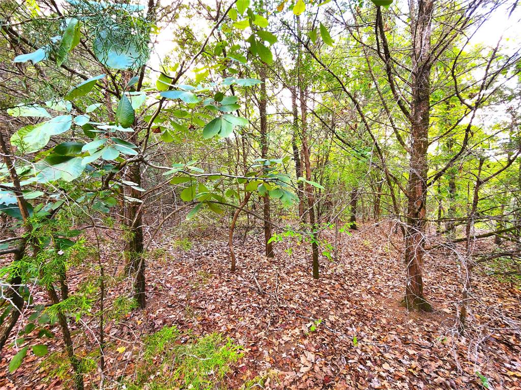 County Road 4710 Lot 465  , Larue, Texas image 8