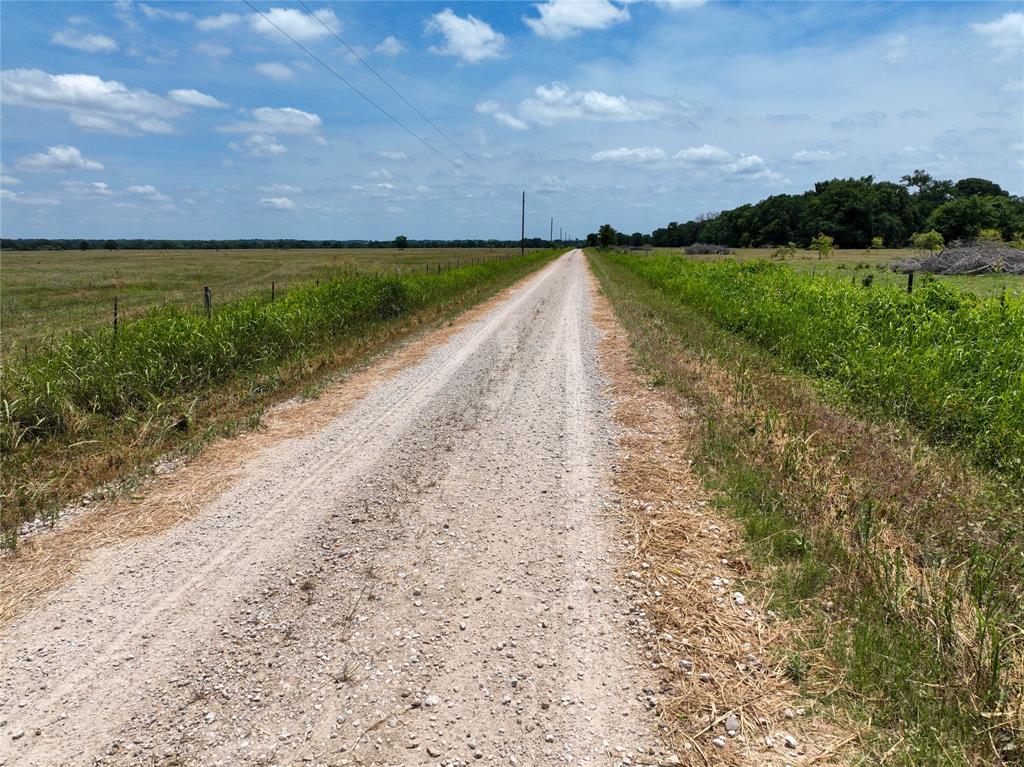 TBD County Rd 254  , Reagan, Texas image 5