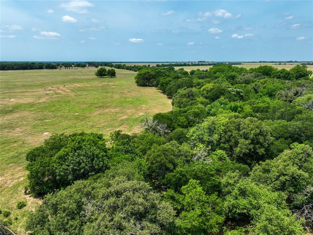 TBD County Rd 254  , Reagan, Texas image 10