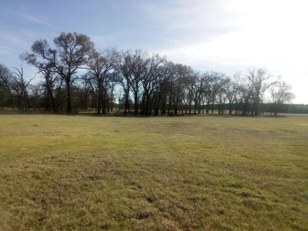 TR 87 County Road 231, Centerville, TX 75833