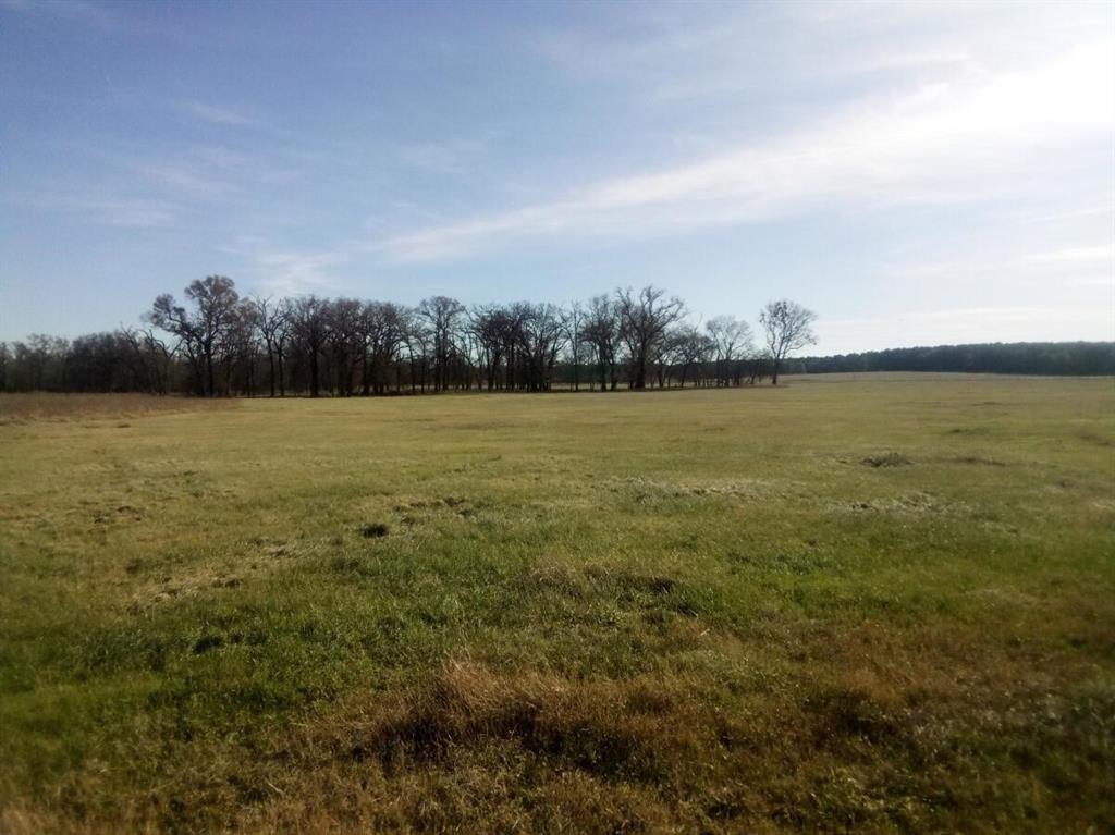 TR 87 County Road 231  , Centerville, Texas image 11