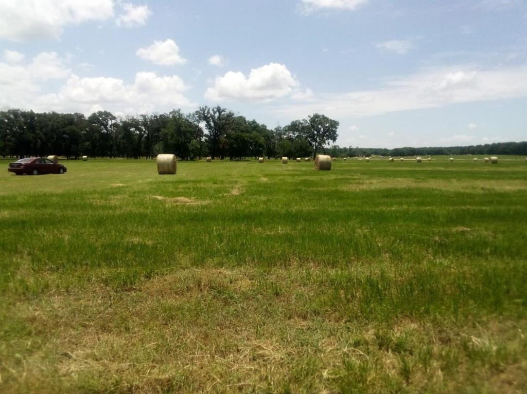 TR 87 County Road 231  , Centerville, Texas image 7