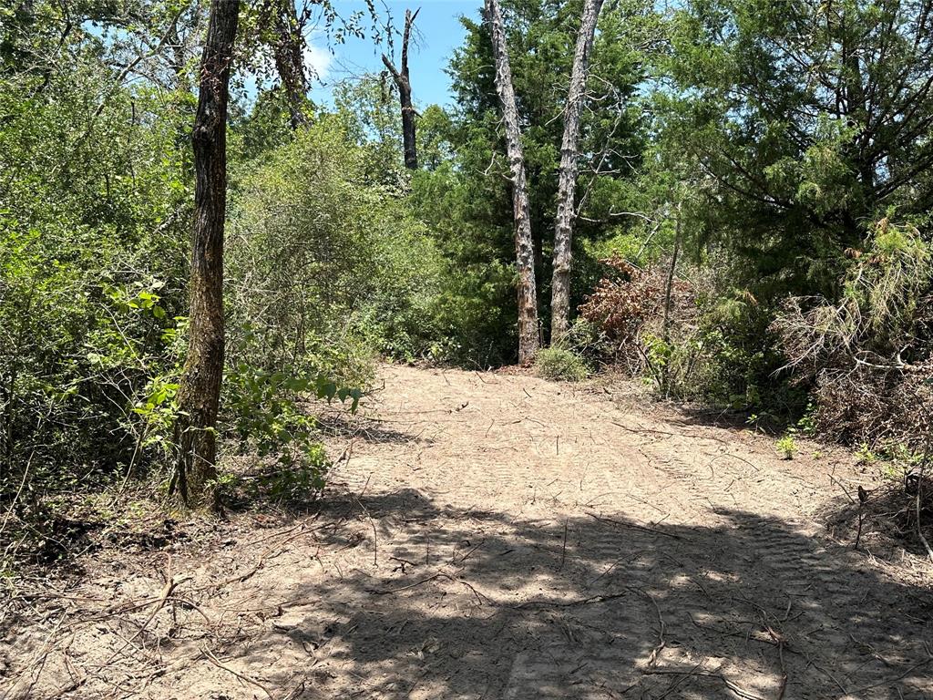 TBD County Road 300  , Oakwood, Texas image 8