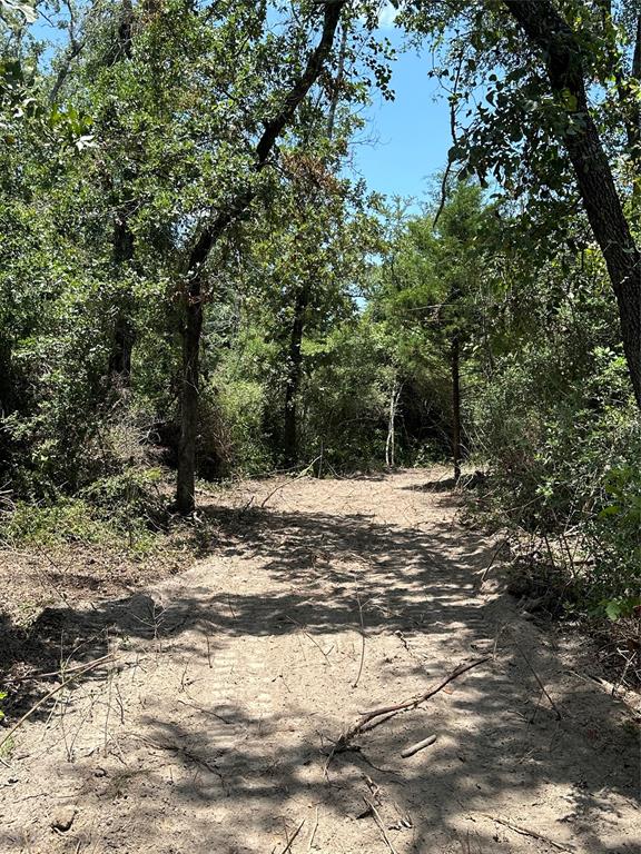 TBD County Road 300  , Oakwood, Texas image 9