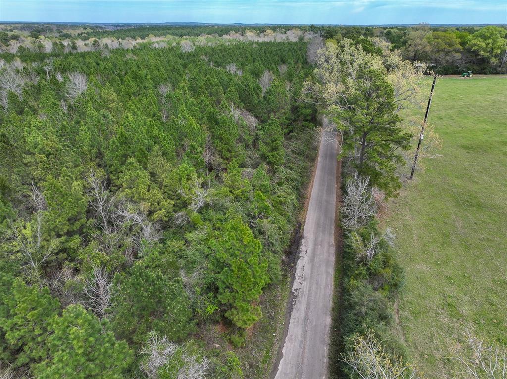 Eugene Walker Road  , Huntington, Texas image 12