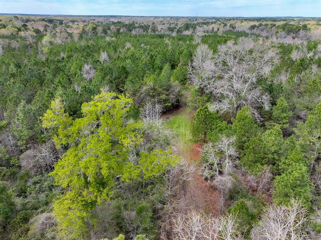 Eugene Walker Road  , Huntington, Texas image 7